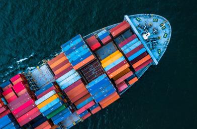 天津國際貨代公司在近年來取得了哪些成績和進步？