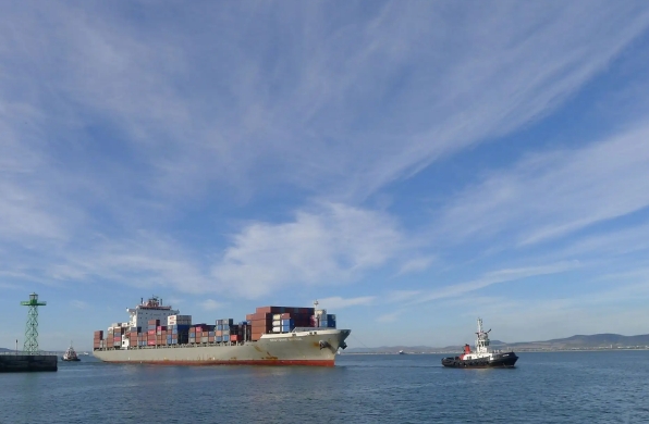 國內海運公司在全球化時代具有重要的地位和作用，面臨著挑戰(zhàn)和機遇