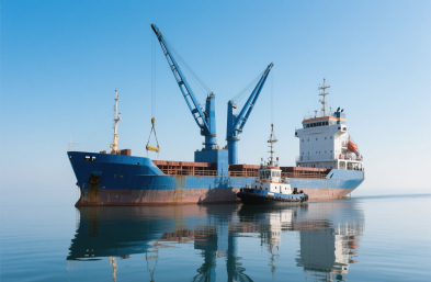 國際物流貨運：農產(chǎn)品進口的定制化專家