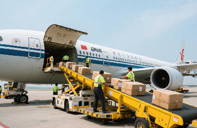 上海貨代行業(yè)全景解析：空海雙樞紐驅(qū)動的全球物流網(wǎng)絡(luò)