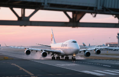 降低物流成本，提升運輸時效 —— 專業(yè)國際貨運代理為您助力