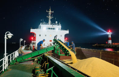 國際貨運代理：海運 / 空運 / 陸運全航線，訂艙到派送一站搞定